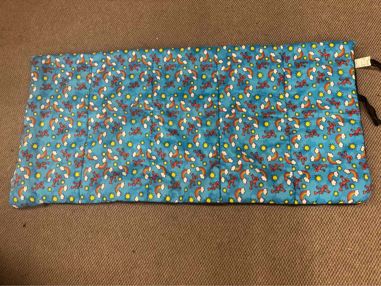 Generic Sleeping Bag