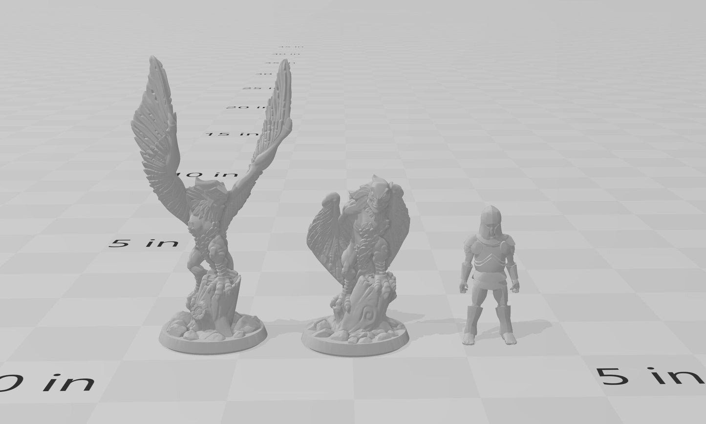 DnD Harpy Mini Set - Arbiter Minitatures - Coastal | Forest | Wargaming | Pathfinder | Hill | Mountain | Harpies | Female | Monster | 28mm