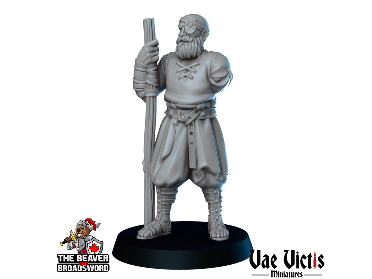 Gladiators mini Set - Vae Victis | DnD | Elf | Tabaxi | Goliath | Human | Arena | Fighter | Pathfinder |  Assassin | Wargaming