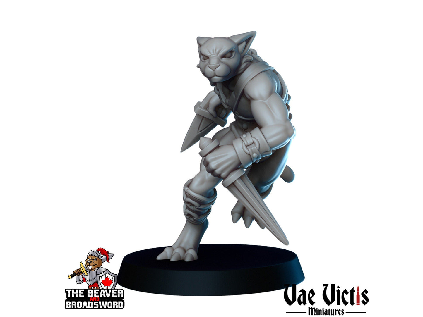 Gladiators mini Set - Vae Victis | DnD | Elf | Tabaxi | Goliath | Human | Arena | Fighter | Pathfinder |  Assassin | Wargaming