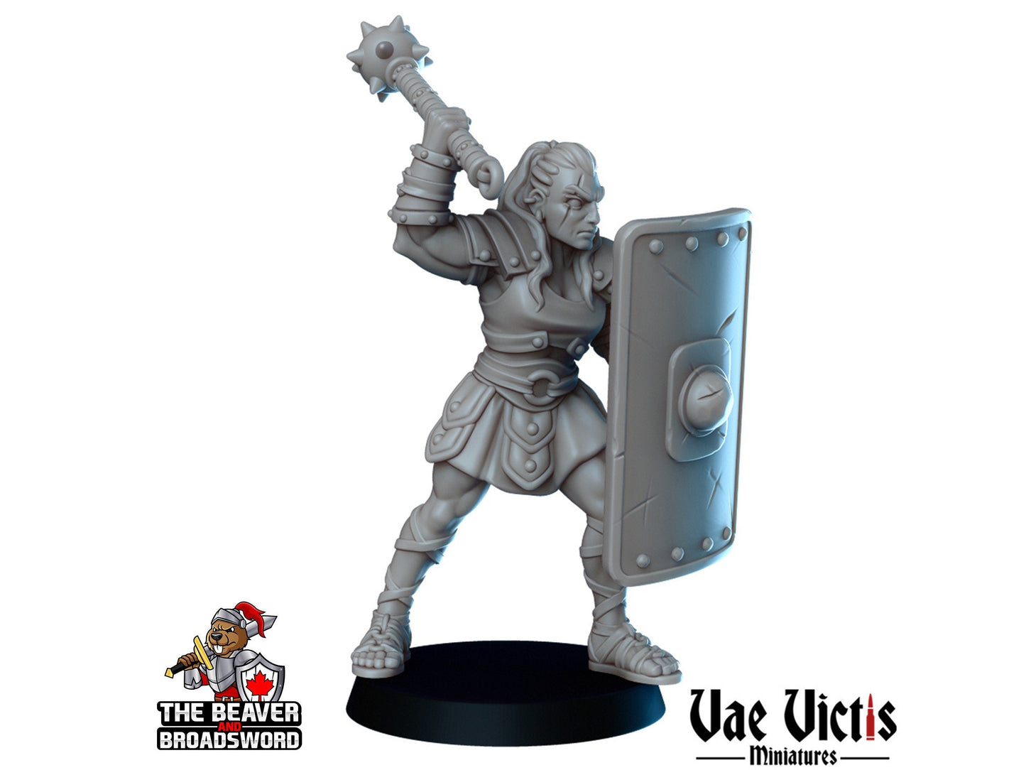 Gladiators mini Set - Vae Victis | DnD | Elf | Tabaxi | Goliath | Human | Arena | Fighter | Pathfinder |  Assassin | Wargaming